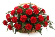 Корзина с гвоздиками