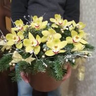 Букет «Зимние орхидеи» в коробке